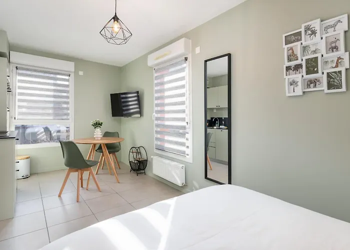Apartment Bright Newly Refurbished Villeurbanne
